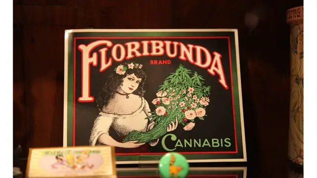 Museo del Cannabis de Barcelona