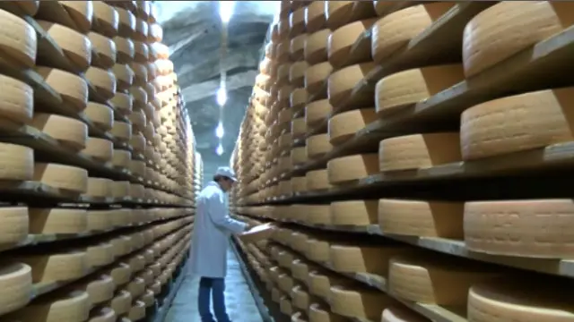 швейцарский сыр