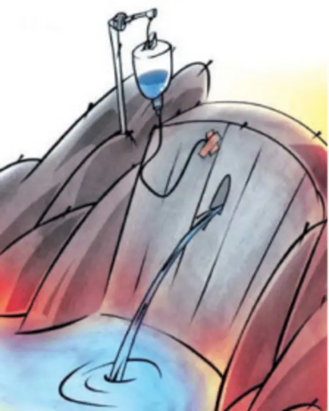 کارتون فرهاد بهرامی، آرمان