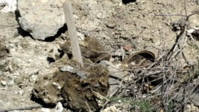 Restos humanos (BBC)