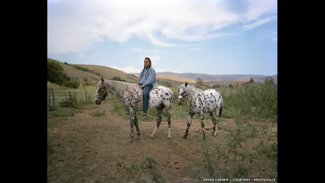 "د اس خلک" هغه نندارتون دی چې د ملي جغرافیې مجله (نیشنل جیوګرافیک مګزین) یې وړاندې کوي او په کې د ایریکا لارسن عکسونه نندارې ته وړاندې کېږي. موخه یې دا ده چې د امریکا په کلتور کې د اس ارزښت انځور کړي.
