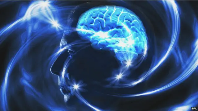 मनुष्य का दिमाग