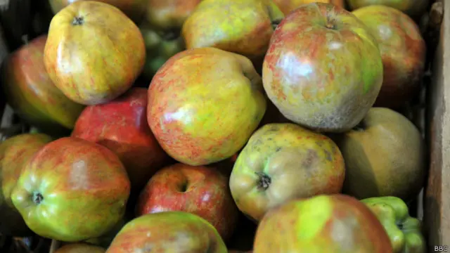 Коммерсанты ломают голову, как яблоки из Испании выдать за белорусские