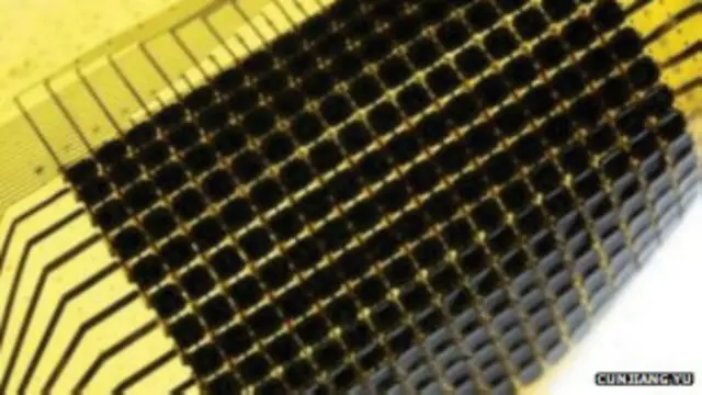 Camuflagem (Cunjiang Yu)