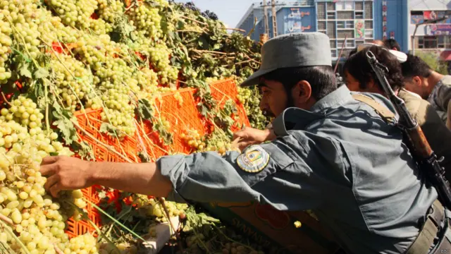 انگور لعل از شاخص ترین انگورهای هرات است که صادرات آن به دلیل عمر کوتاهی که دارد امکان پذیر نیست.