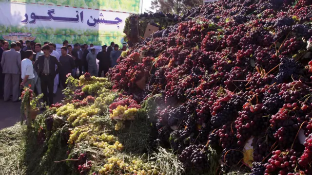 در هرات برای اولین بار نمایشگاه انگور برگزار شده و هفتاد نوع انگور به نمایش گذاشته شده است.