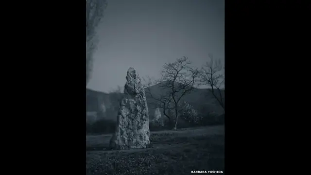 क्रीमिया के रोडनिकोवस्कोए में स्केल्स्की मेनहिर