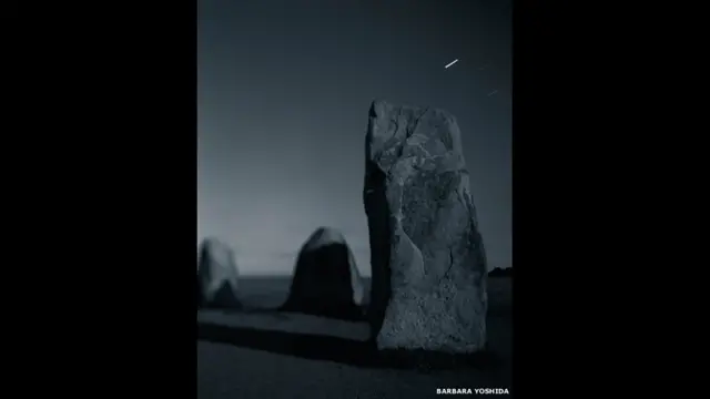 स्वीडन के कैसरबर्ग में एलेस स्टेनर