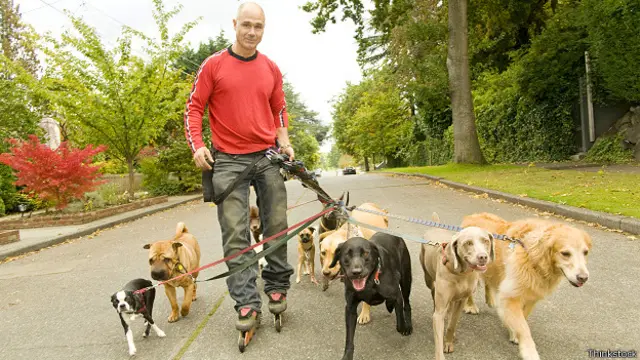 Мужчина выгуливает собак