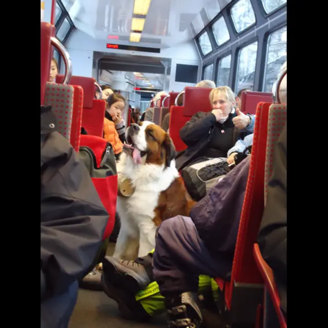 Foto de una lectora de BBC Mundo por el tema “ferrocarril” 