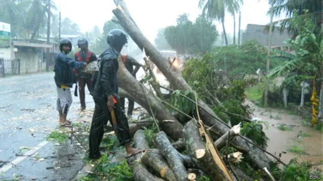 පුත්තලමට ඇද හැලුණු අධික වැසි නිසා කඩා වැටුණු ගස් 