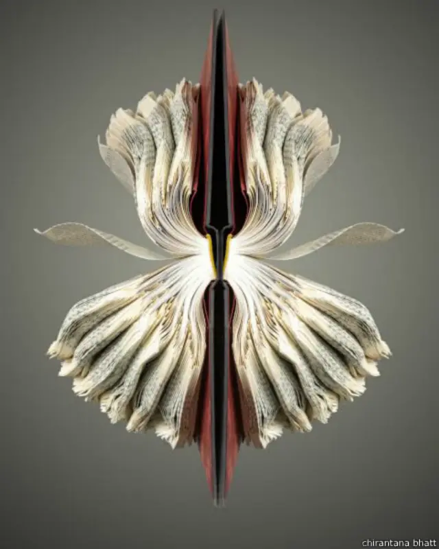 बुक आर्ट गैलरी 