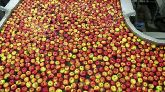 польські яблука