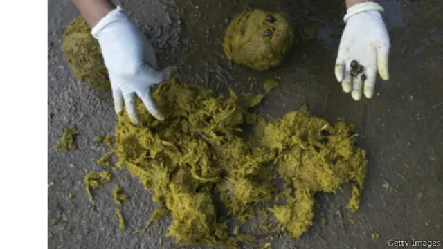 از هر سی و سه کیلوگرم قهوه یک کیلوگرم دانه قهوه به دست میآید