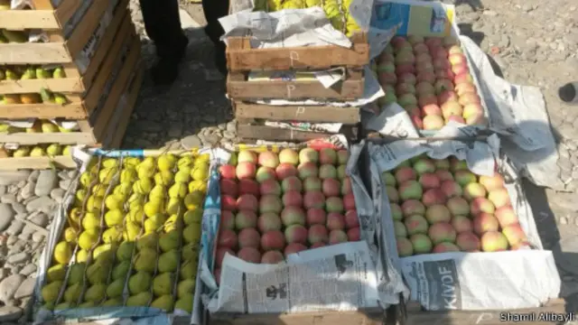 Son həftələrdə Rusiyaya armud və gavalı aparılır.