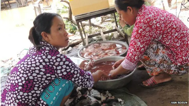 торговцы крысиным мясом