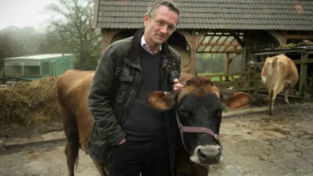 मोसली, गाय