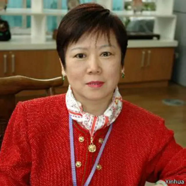 有报道说，李小林所掌舵的中国对外友好协会被视为是中国民间的外交机构。