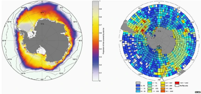 Mapa de especies antárticas