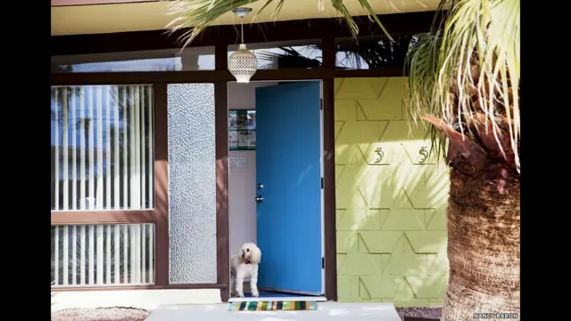 Mighty Joe por Nancy Baron