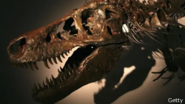Cráneo del T.rex llamado Sue