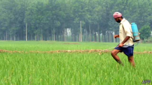 भारत, किसान, आत्महत्या, खुदकुशी, खराब फसल