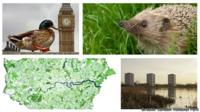 Campaña Londres Parque Nacional