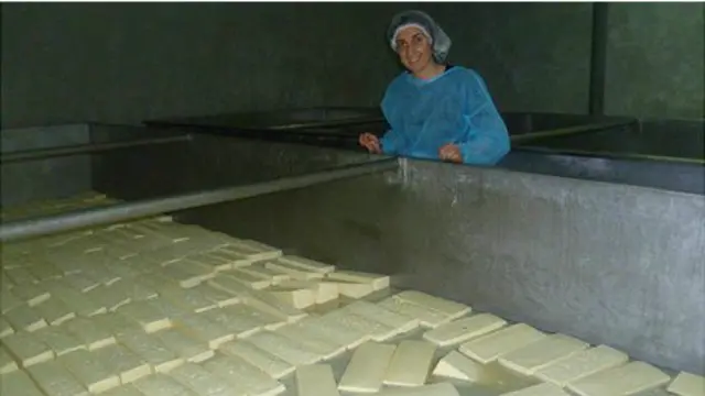 Nino Zambaxidze Avropaya məhsul ixracı barədə düşünür.