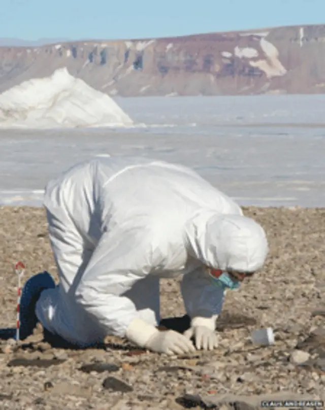 سائنس دانوں نے گرین لینڈ سمیت شمالی امریکہ کے مختلف حصوں سے قدیم ڈی این کے نمونے حاصل کیے