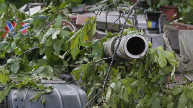 Неделя в фото