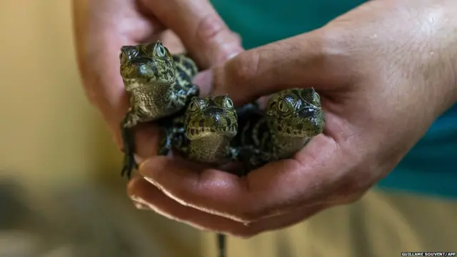 Неделя в фото