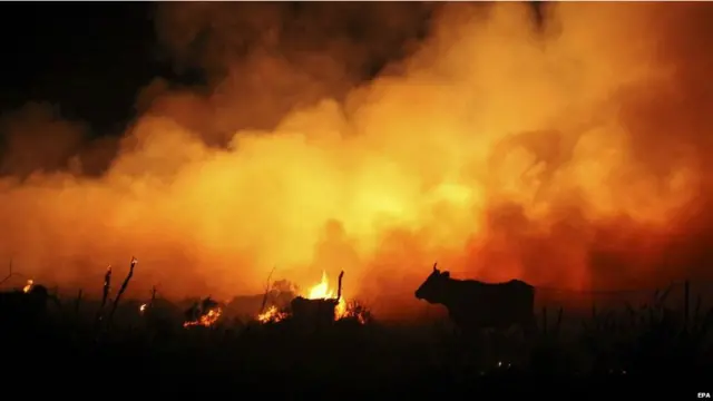 Неделя в фото