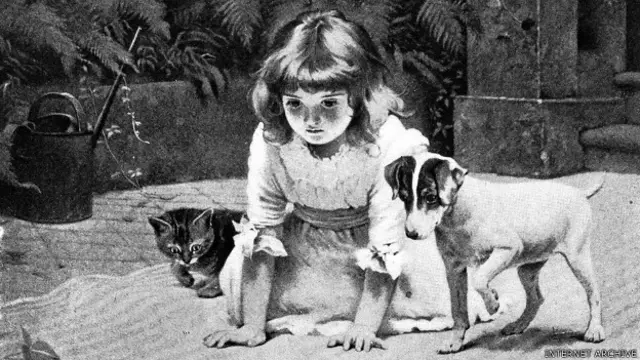 Изображение из коллекции