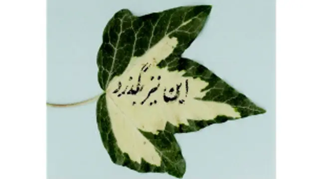 شعار دنیا پرستهای صوفی مآب، بر یک برگ سبز، تُحفۀ درویشان