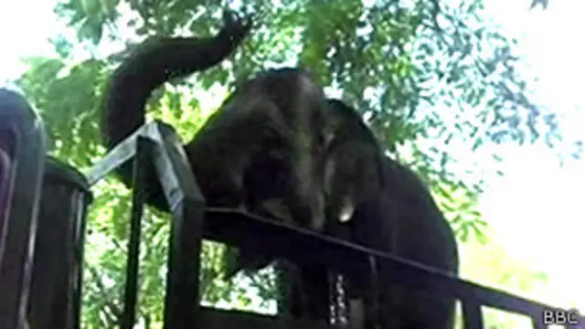 'මේක විශාල නීති විරෝධී ජාවාරමක්' -පැමිණිල්ල 