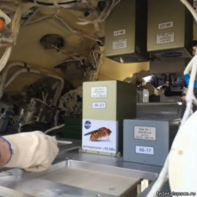 آزمایشگاه داخل مدارگرد فوتون