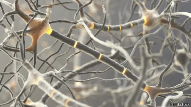 Neuronas