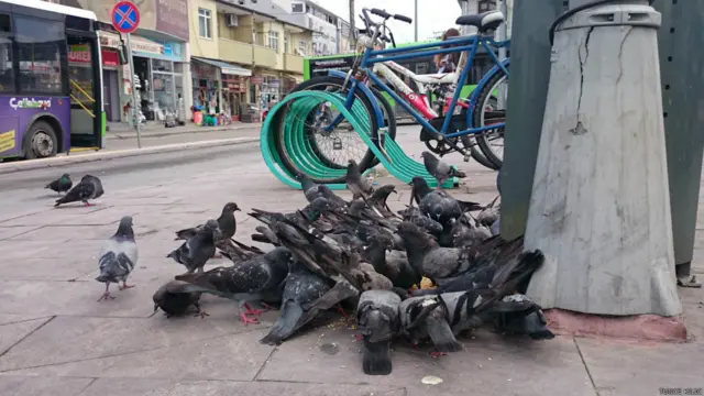 Tuğçe Kılıç: Bazen kuşların kanat sesleri biraz olsun unutturur şehrin gürültüsünü.