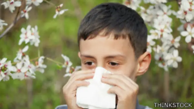 En el Reino Unido una de cada tres personas sufre de algún tipo de alergia.