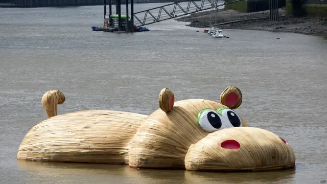 Hipopotamus karya Florentjin Hofman 