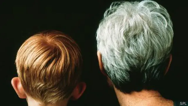 Cabello joven y viejo