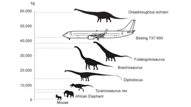Bayangkan besarnya Dreadnoughtus dari perbandingan ini