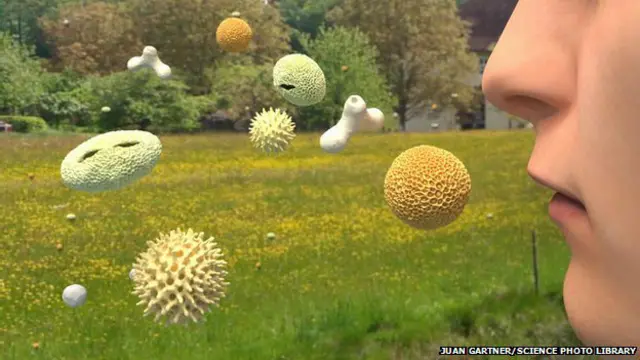 Los agentes alérgicos nos rodean pero algunos de nosotros somos más susceptibles a sus efectos.