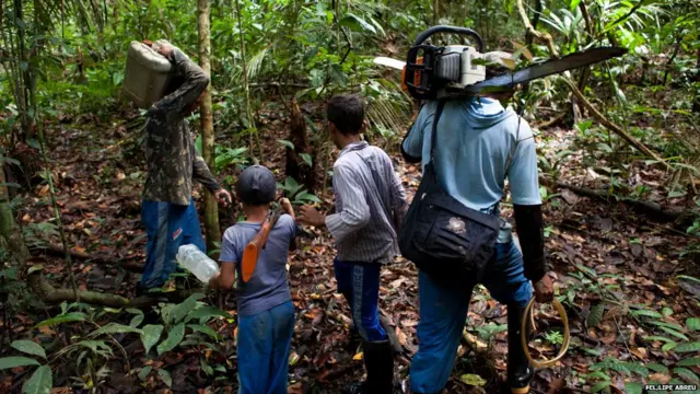 Leñadores en Perú. Foto de Fellipe Abreu