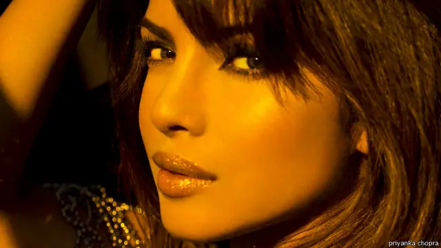 باکس آفس کے لحاظ سے 2014 پرینکا کے لیے اچھا سال رہا ہے۔