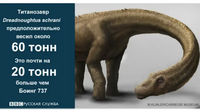 Сравнительные данные динозавра Dreadnoughtus schrani