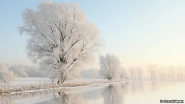 La deficiencia de vitamina D es más frecuente en los meses de invierno.