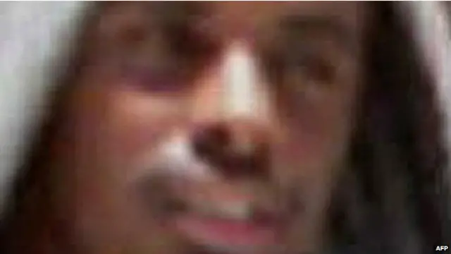 美国在2012年公布了高登的这张照片