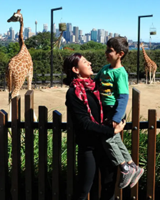 در باغ وحش دیدم که امیرعلی چه‌طور از آب می‌ترسد و می‌خواهد از این هیولای هولناک که مادرش را از او گرفته، فرار کند