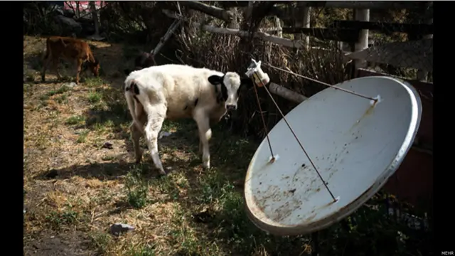 افزایش استفاده از ماهواره 